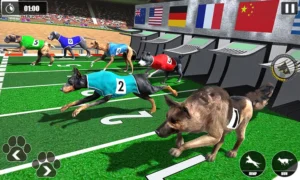 Cách Chơi Game Nhanh Đua Chó Tại Dubai Palace Cực Chuẩn