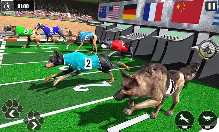 Cách Chơi Game Nhanh Đua Chó Tại Dubai Palace Cực Chuẩn 1 Cách Chơi Game Nhanh Đua Chó Tại Dubai Palace Cực Chuẩn
