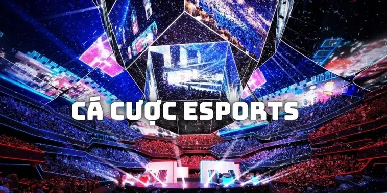Bí Kíp Cá Cược Thể Thao Điện Tử Dubai Palace Hốt Bạc Nhanh Chóng 2 Bí Kíp Cá Cược Thể Thao Điện Tử Dubai Palace Hốt Bạc Nhanh Chóng